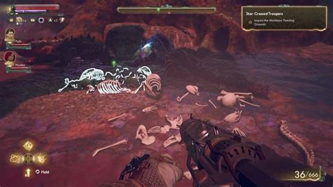 outer worlds nyoka medallions.